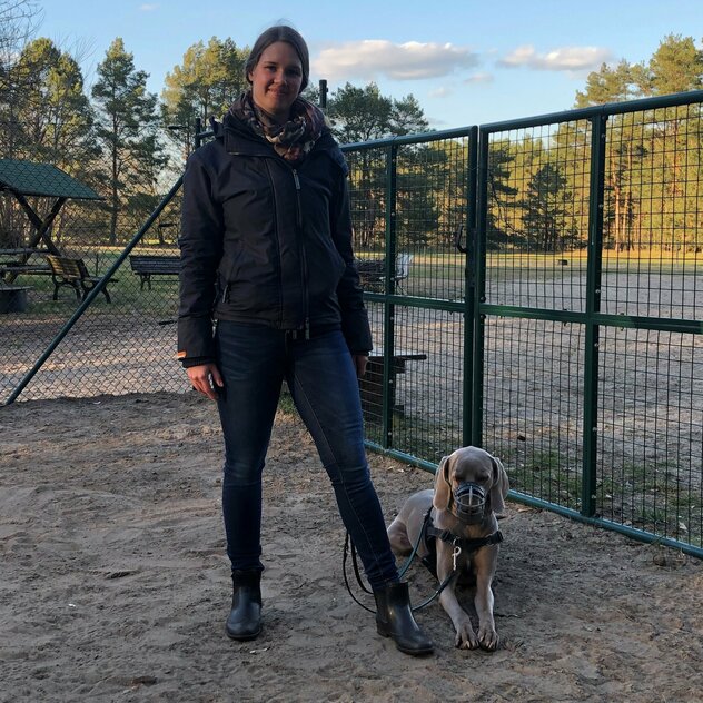 Weimaraner mit Maulkorb neben Frauchen liegend