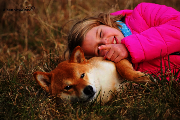 Mädchen liegt mit Therapiebegleithund Shiba Inu Choshi im Gras