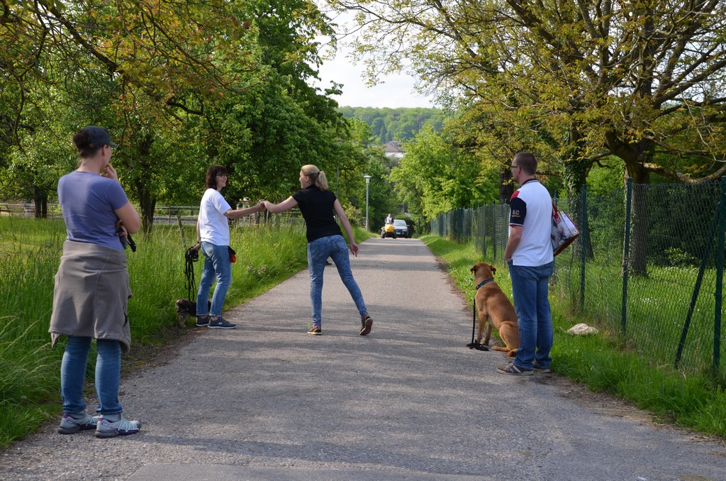 Hundebesitzer üben die Begrüßung während Hunde warten müssen