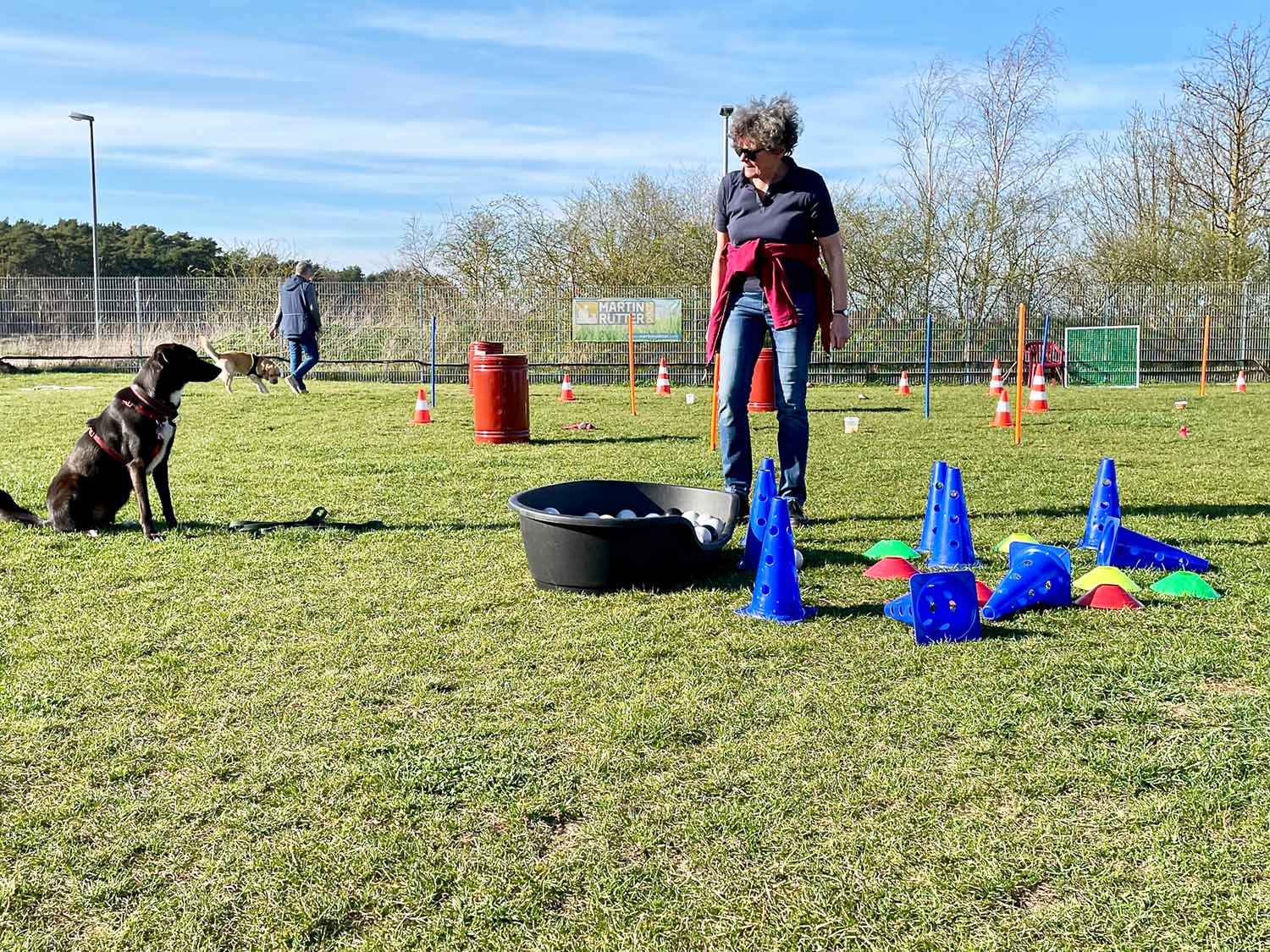 Eine Frau zeigt ihrem Hund verschiedene Trainingsgeräte wie Reifen und Pylonen.