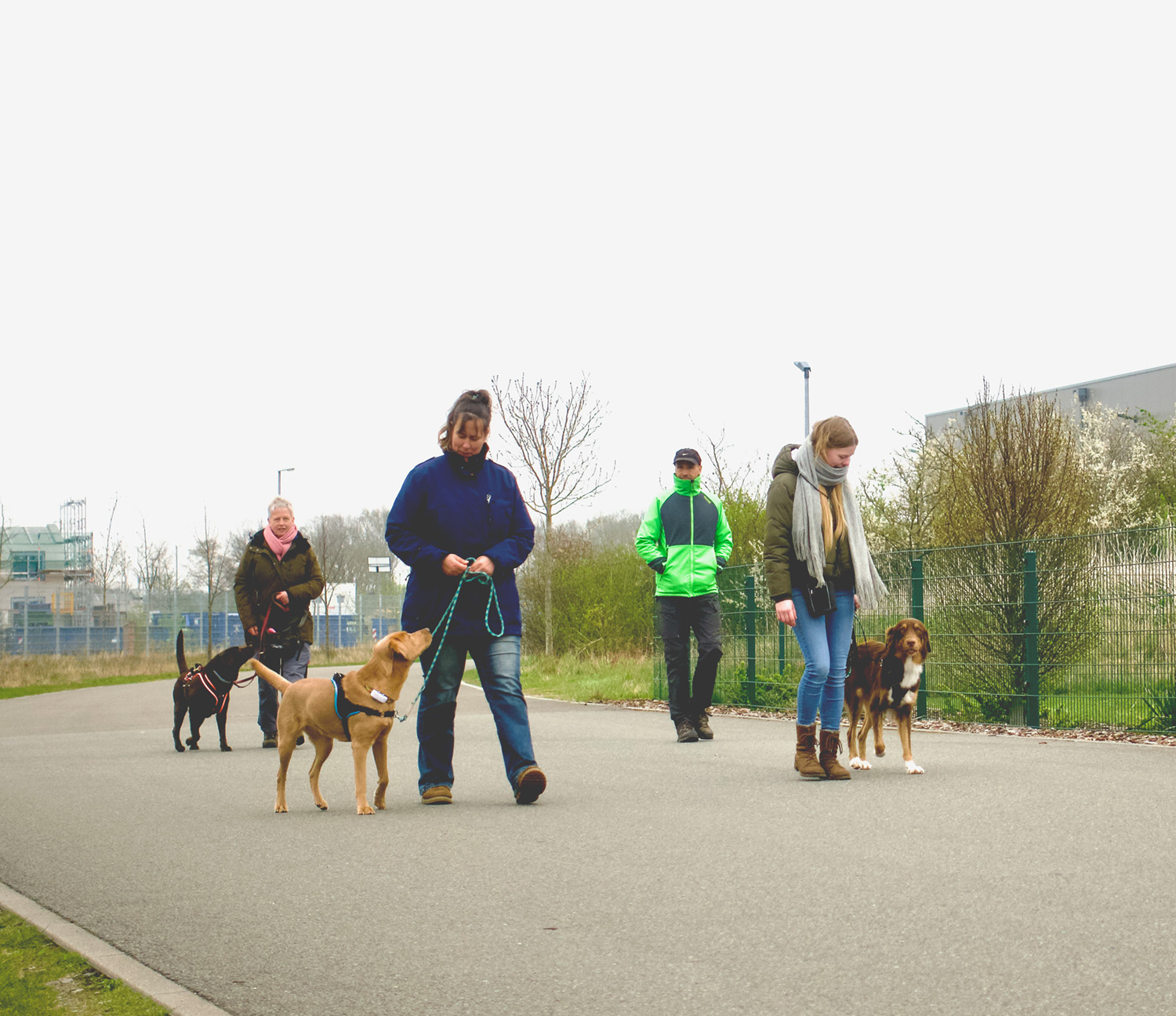 Menschen laufen mit ihren Hunden auf einer Straße.