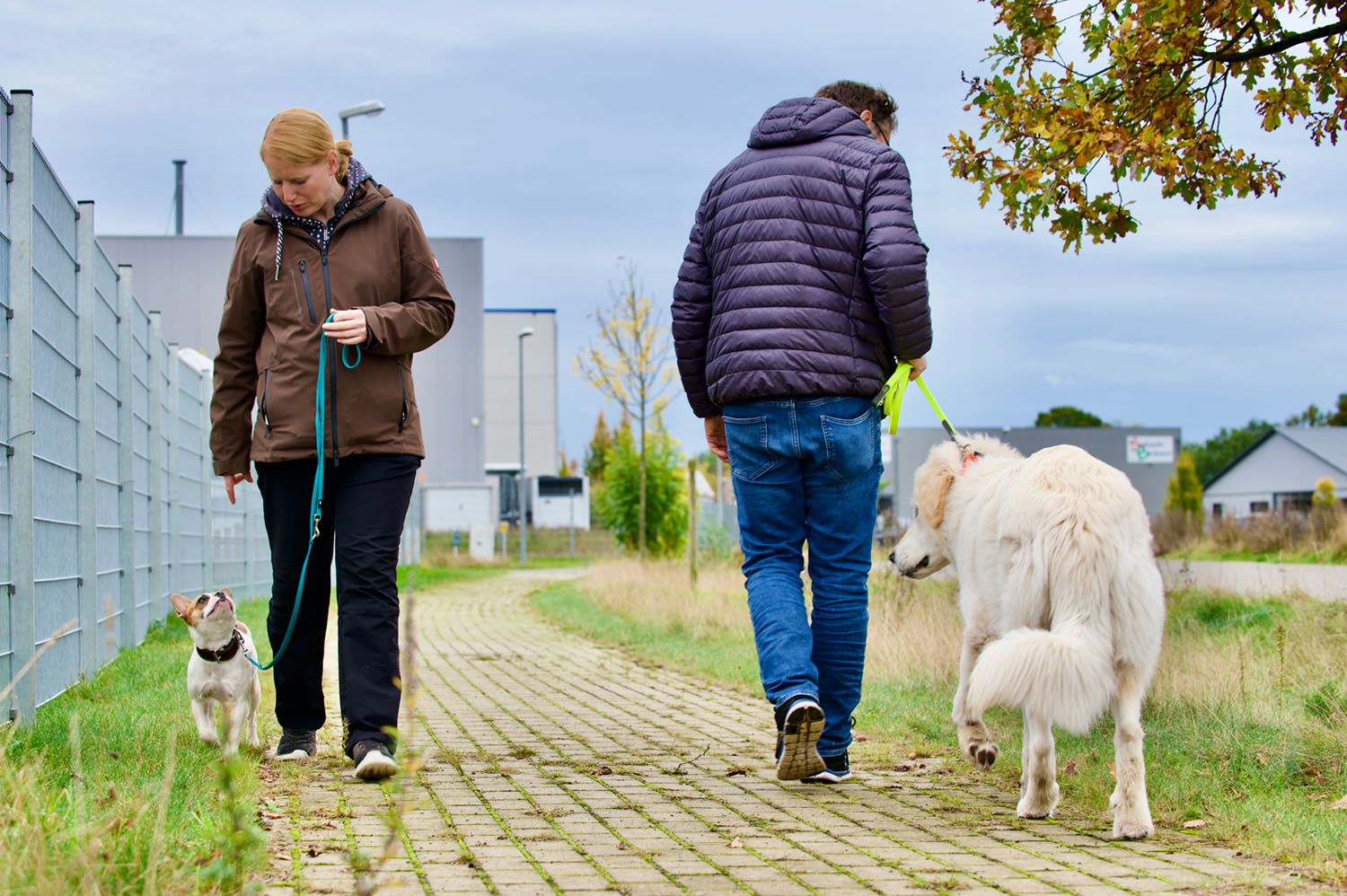 Zwei Menschen mit ihren Hunden begegnen sich auf einem Weg.